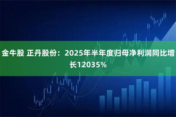 金牛股 正丹股份：2025年半年度归母净利润同比增长12035%