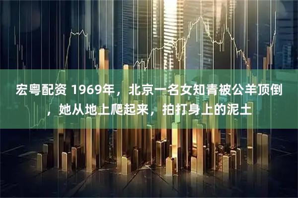 宏粤配资 1969年，北京一名女知青被公羊顶倒，她从地上爬起来，拍打身上的泥土