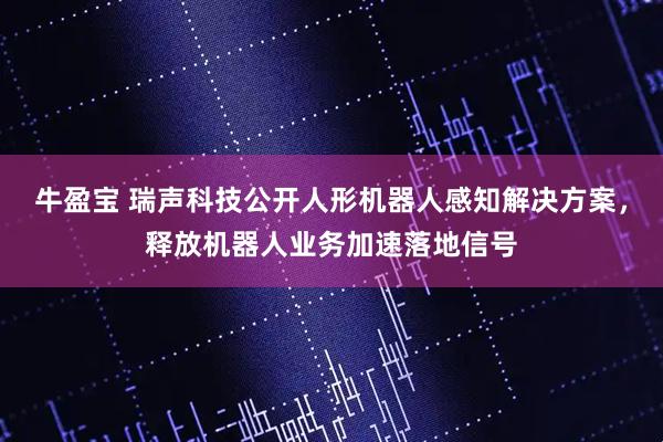 牛盈宝 瑞声科技公开人形机器人感知解决方案，释放机器人业务加速落地信号