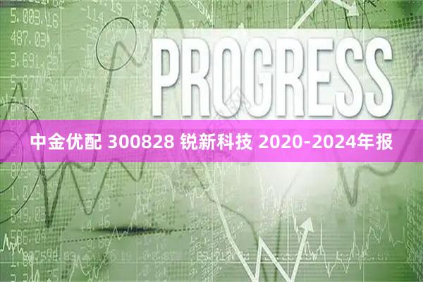 中金优配 300828 锐新科技 2020-2024年报